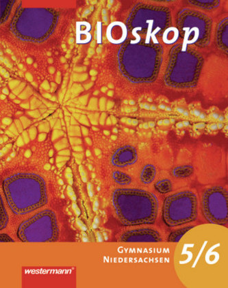 5./6. Jahrgangsstufe, Schülerband