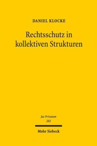 Rechtsschutz in kollektiven Strukturen