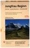 Landeskarte der Schweiz Jungfrau Region