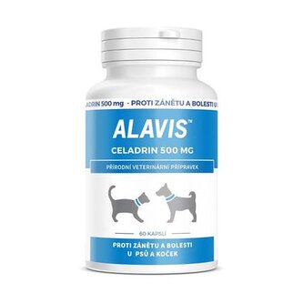 ALAVIS Celadrin 500 mg 60 tablet