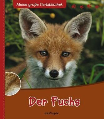 Der Fuchs