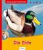 Die Ente