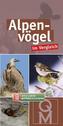 Alpenvögel im Vergleich, Bestimmungskarten