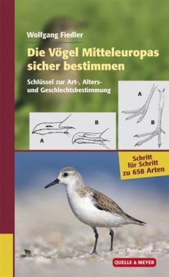 Die Vögel Mitteleuropas sicher bestimmen. Bd.1