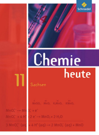 11. Schuljahr, Schülerband