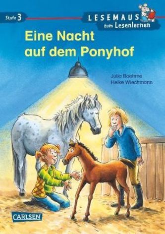 Eine Nacht auf dem Ponyhof