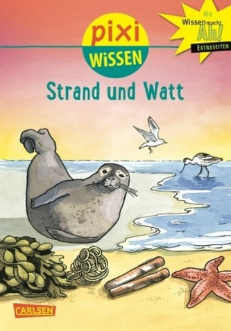 Strand und Watt