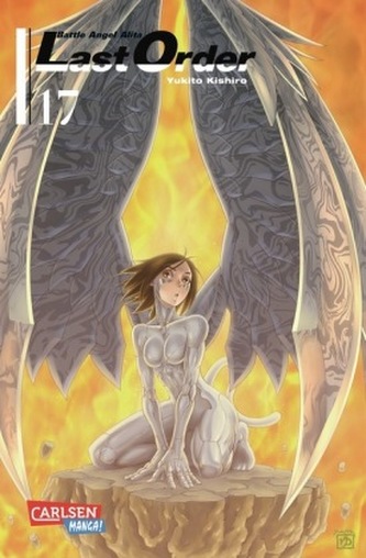 Battle Angel Alita - Last Order. Bd.17