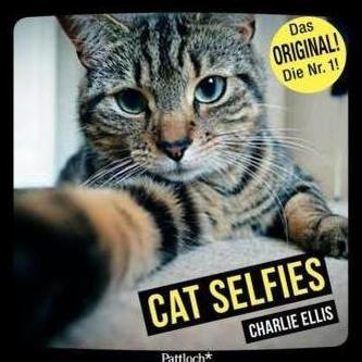Cat Selfies