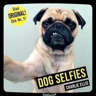 Dog Selfies