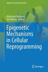 Epigenetic Mechanisms in Cellular Reprogramming