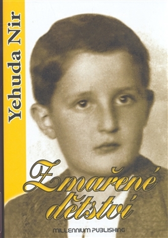 Zmařené dětství
