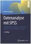 Datenanalyse mit SPSS