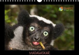 Chances for Nature - Madagaskar (Wandkalender 2016 DIN A4 quer)