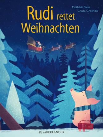Rudi rettet Weihnachten
