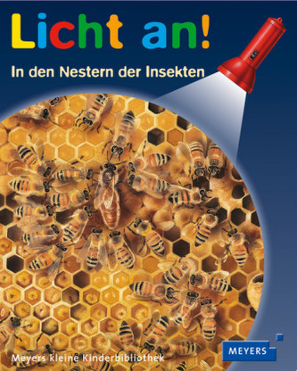 In den Nestern der Insekten