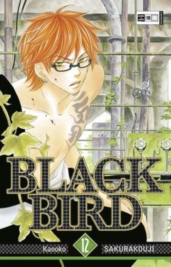 Black Bird. Bd.12