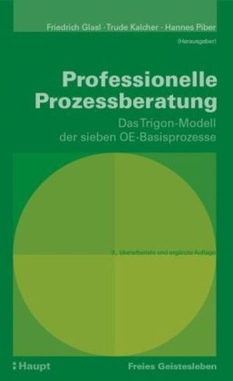 Professionelle Prozessberatung
