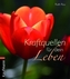 Kraftquellen für dein Leben
