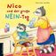 Nico und der große NEIN-Tag