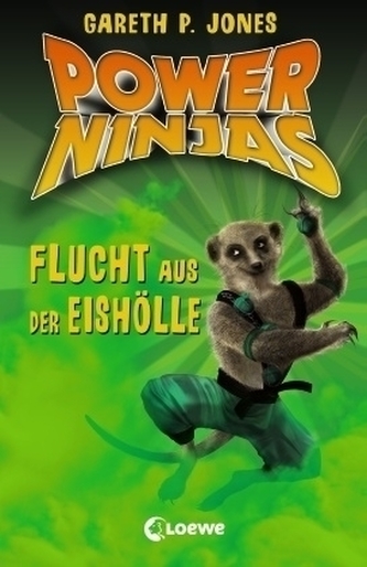 Power Ninjas - Flucht aus der Eishölle