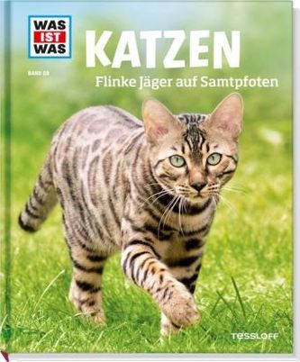 Katzen - Flinke Jäger auf Samtpfoten
