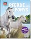 Pferde und Ponys