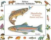 Nutzfische in unseren Flüssen und Seen