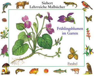Frühlingsblumen im Garten