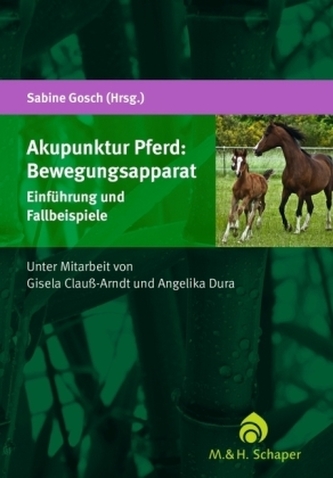 Akupunktur Pferd: Bewegungsapparat