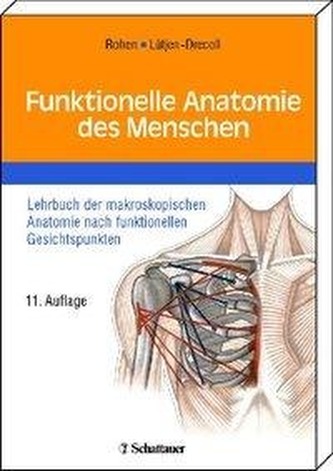 Funktionelle Anatomie des Menschen