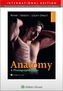 Anatomy