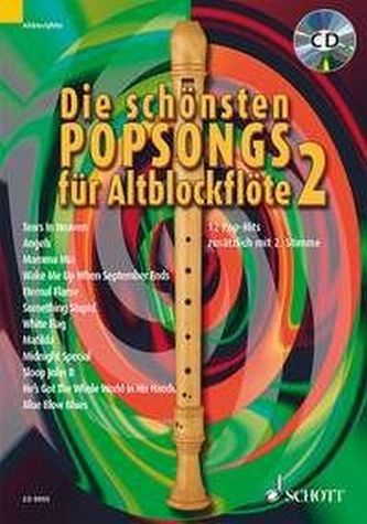 Die schönsten Popsongs für Alt-Blockflöte, m. Audio-CD. Bd.2