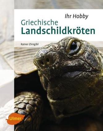Griechische Landschildkröten Griechische Landschildkröten