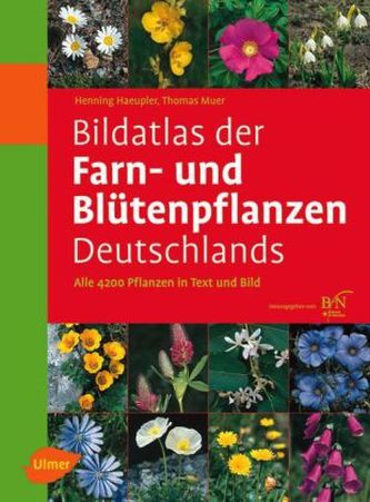 Bildatlas der Farn- und Blütenpflanzen Deutschlands Bildatlas der Farn- und Blütenpflanzen Deutschlands