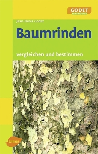 Baumrinden Baumrinden