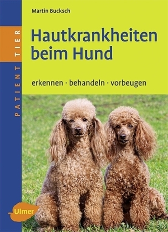 Hautkrankheiten beim Hund