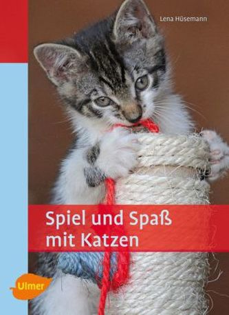 Spiel und Spaß mit Katzen