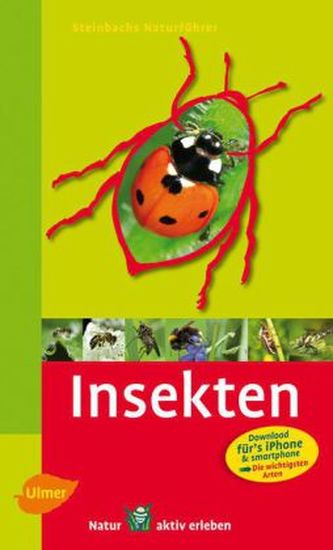 Insekten