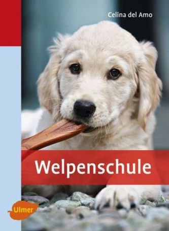 Welpenschule Welpenschule