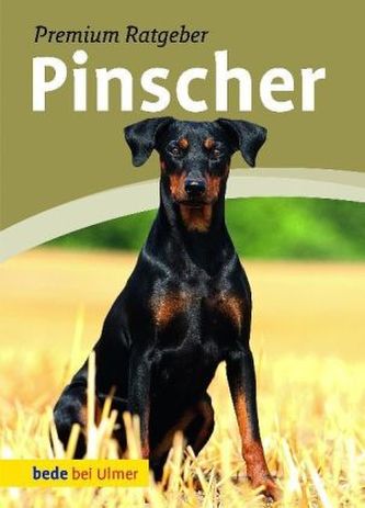 Pinscher