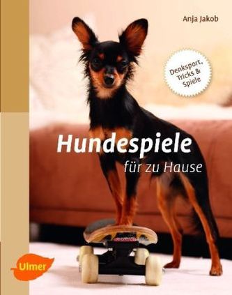 Hundespiele für zu Hause