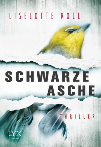 Schwarze Asche