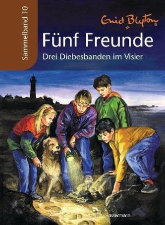 Drei Diebesbanden im Visier Drei Diebesbanden im Visier