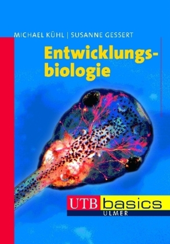 Entwicklungsbiologie