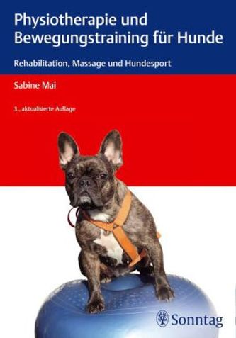 Physiotherapie und Bewegungstraining für Hunde