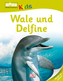 Wale und Delfine