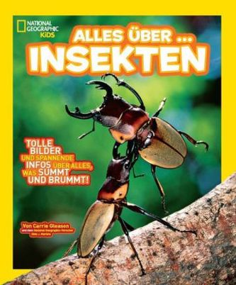 National Geographic Kids - Alles über Insekten