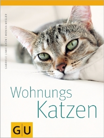 Wohnungskatzen