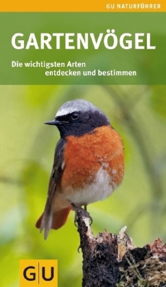 Gartenvögel